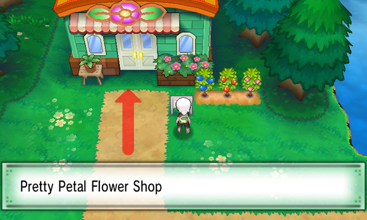 Arriving at the Pretty Petal Flower Shop on Route 104 / Pokémon ORAS