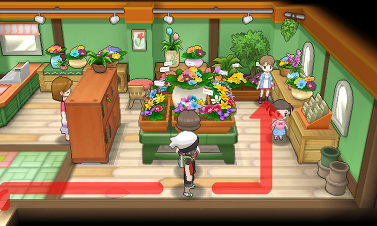 Inside the Pretty Petal Flower Shop on Route 104 / Pokémon ORAS