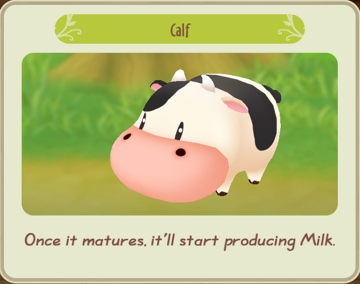 The character description of a regular calf. / Story of Seasons: Friends of Mineral Town