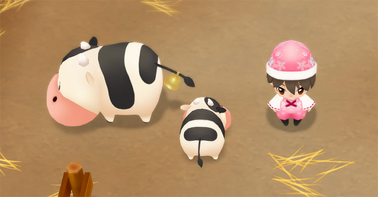 The farmer stands next to a calf and an adult cow in the barn. / Story of Seasons: Friends of Mineral Town