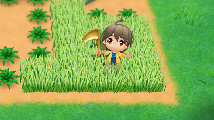 The farmer harvests Fodder from wild grass with a golden sickle. / Story of Seasons: Friends of Mineral Town