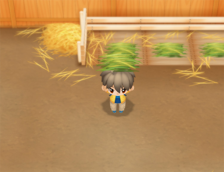 The farmer places Fodder in the barn’s trough. / Story of Seasons: Friends of Mineral Town