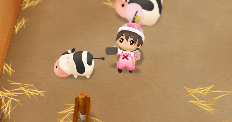 The farmer holds up a brush while standing next to the calf. / Story of Seasons: Friends of Mineral Town