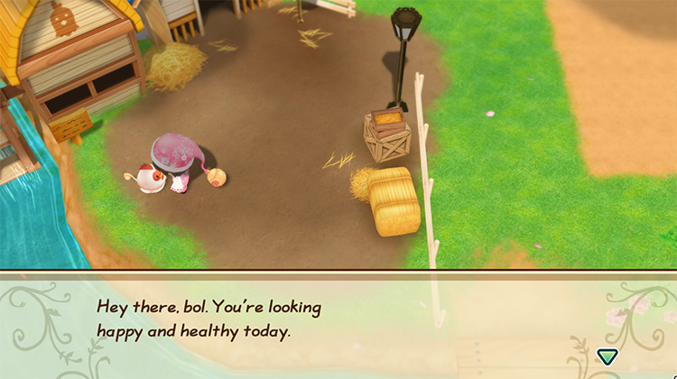 The farmer talks to the chicken. / Story of Seasons: Friends of Mineral Town