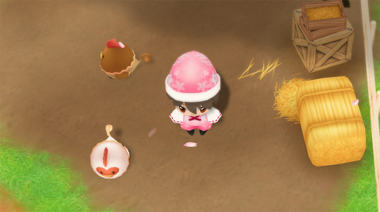 The farmer stands outside the coop with two chickens. / Story of Seasons: Friends of Mineral Town