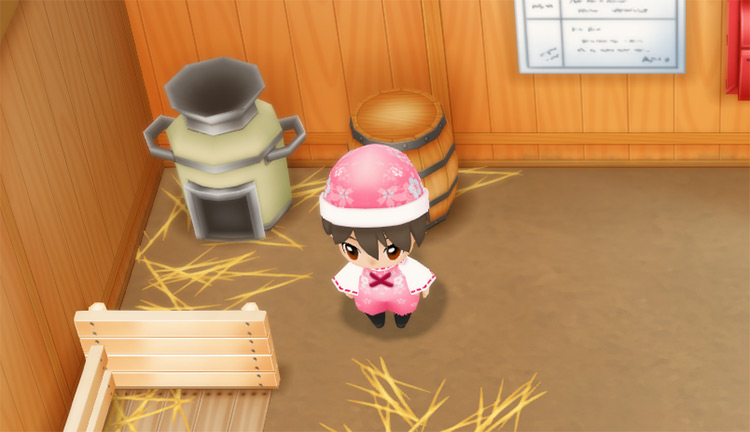 The farmer stands in front of a Mayonnaise Maker in the coop. / Story of Seasons: Friends of Mineral Town