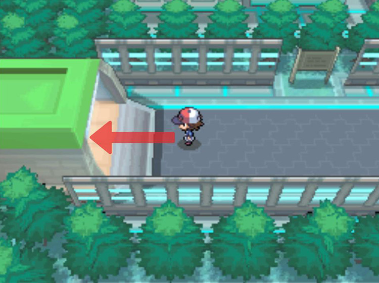 Enter the tunnel and head towards Route 9. / Pokémon Black and White