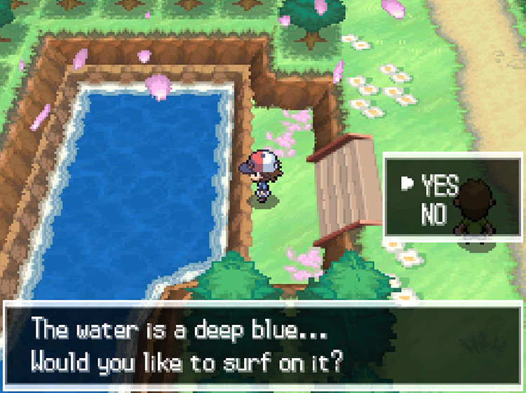 Use Surf on the body of water. / Pokémon Black and White