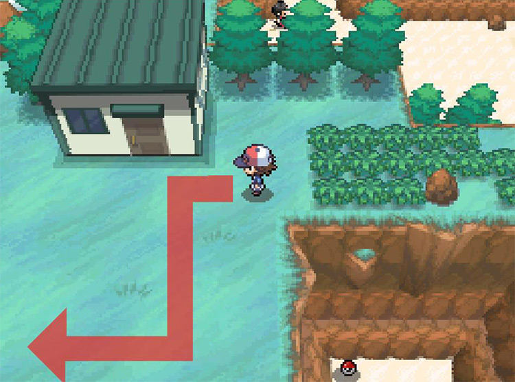 After reaching the house, head southwest. / Pokémon Black and White