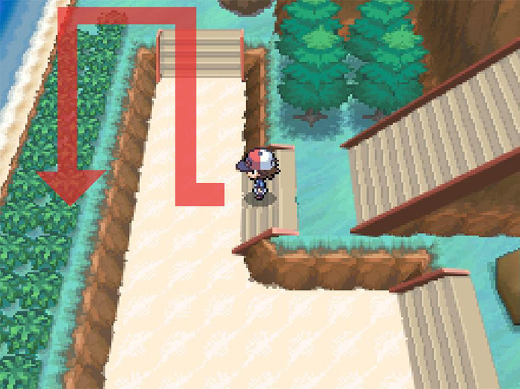 Head south down the strip of land covered in wild grass. / Pokémon Black and White