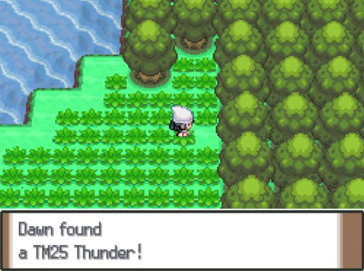 Obtaining TM25 Thunder / Pokémon Platinum