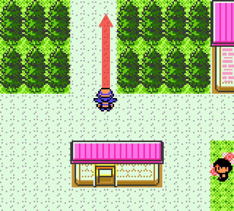 Entering Route 30 from Cherrygrove City. / Pokémon Crystal