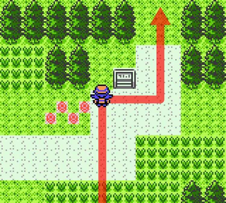 Passing by a signpost on Route 30. / Pokémon Crystal