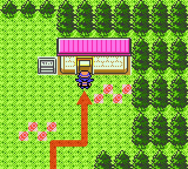 Reaching Mr. Pokémon’s house. / Pokémon Crystal