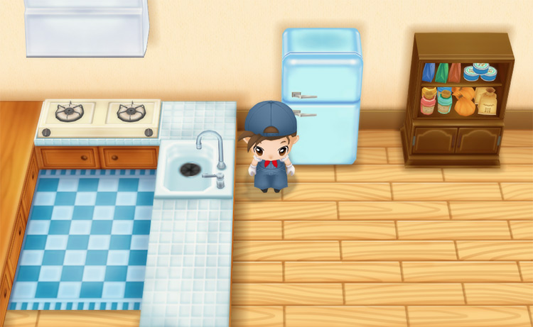 The farmer stands in front of the Large Refrigerator. / Story of Seasons: Friends of Mineral Town
