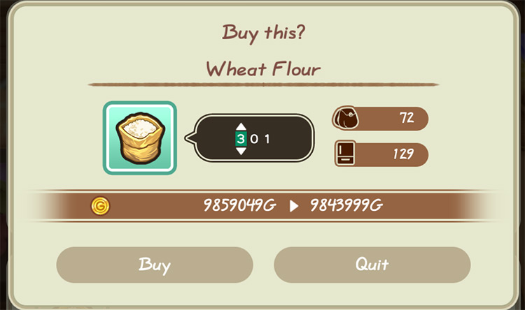 The farmer buys ingredients from the General Store. / Story of Seasons: Friends of Mineral Town