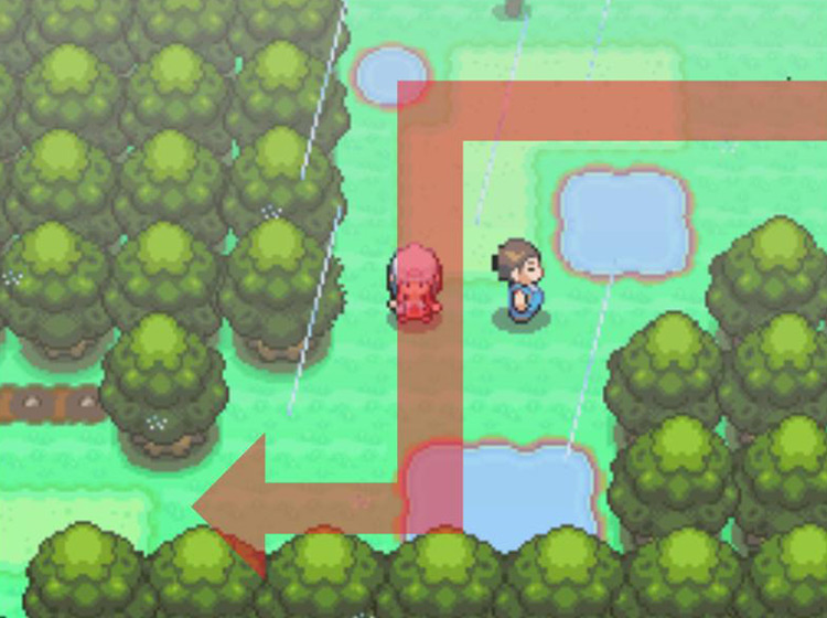 Entering Route 212 and continuing in a southwestern trajectory / Pokémon Platinum