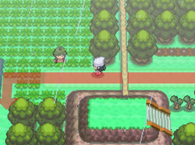 Turning south on the narrow strip of land at the edge of the swamp / Pokémon Platinum