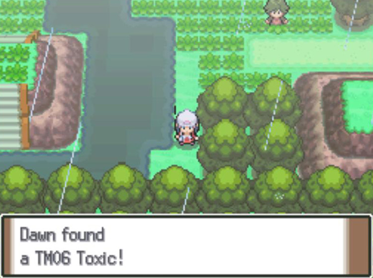 Obtaining TM06 Toxic on Route 212 / Pokémon Platinum