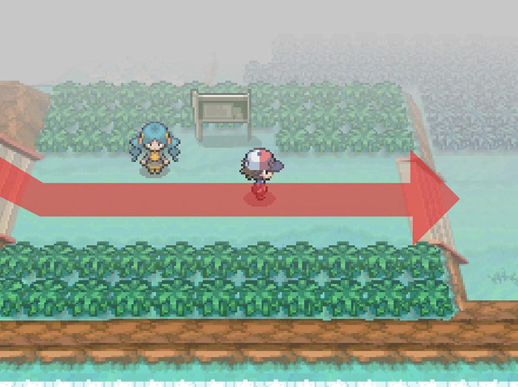 Continue east and climb down the smaller set of stairs. / Pokémon Black and White