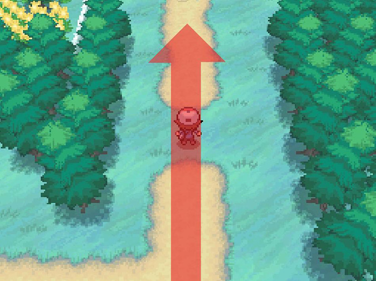 Keep north on the dirt path on Route 1. / Pokémon Black and White