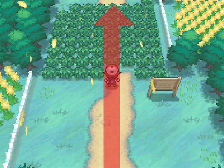 Continue north through the tall grass. / Pokémon Black and White