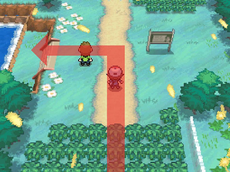 Turn left down the stairs towards the body of water. / Pokémon Black and White