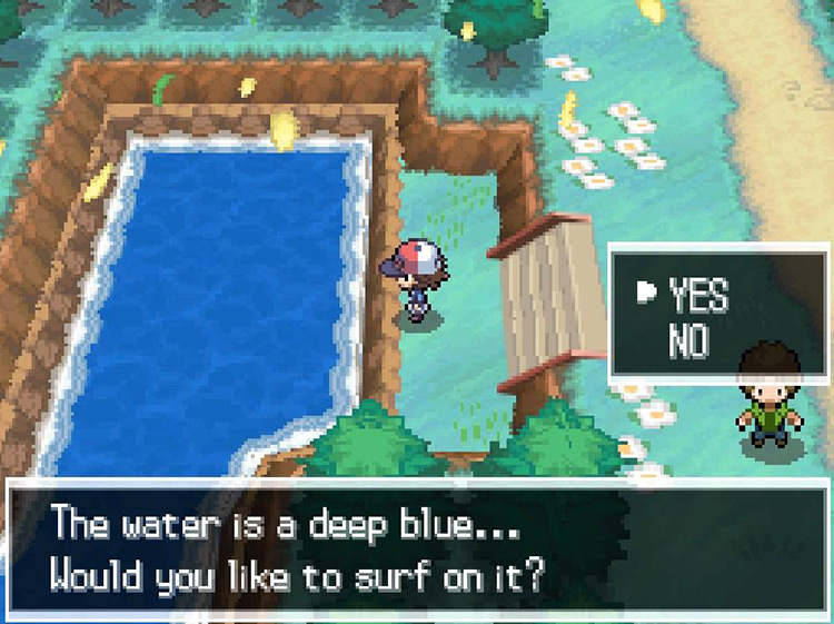 Use Surf to cross the water. / Pokémon Black and White