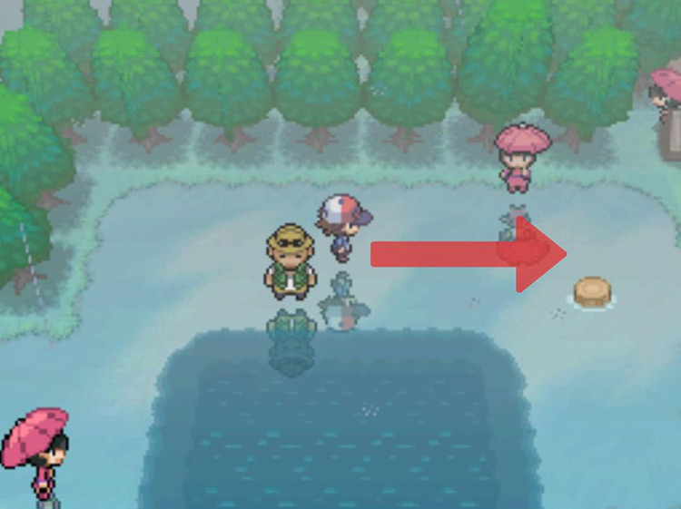 Continue walking past the trainers holding pink parasols. / Pokémon Black and White