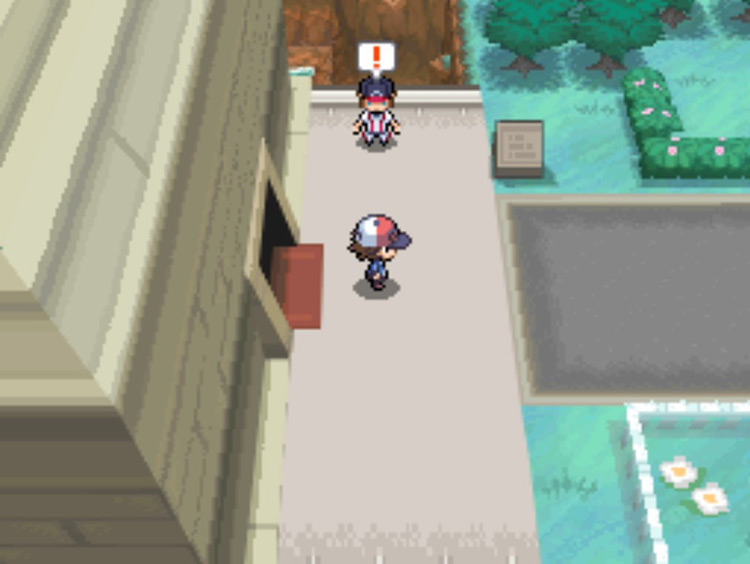 An NPC will stop you before you’re able to walk onto Route 9. / Pokémon Black and White