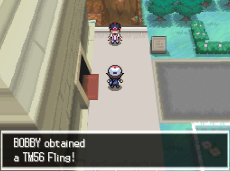 The NPC will throw TM56 Fling at you as a gift. / Pokémon Black and White