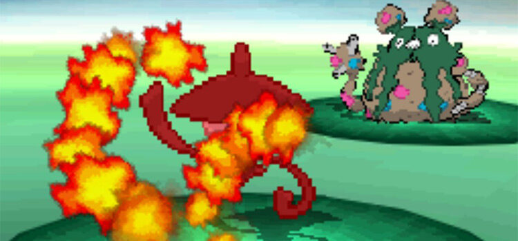 Flame Charge used in battle in Pokémon Black