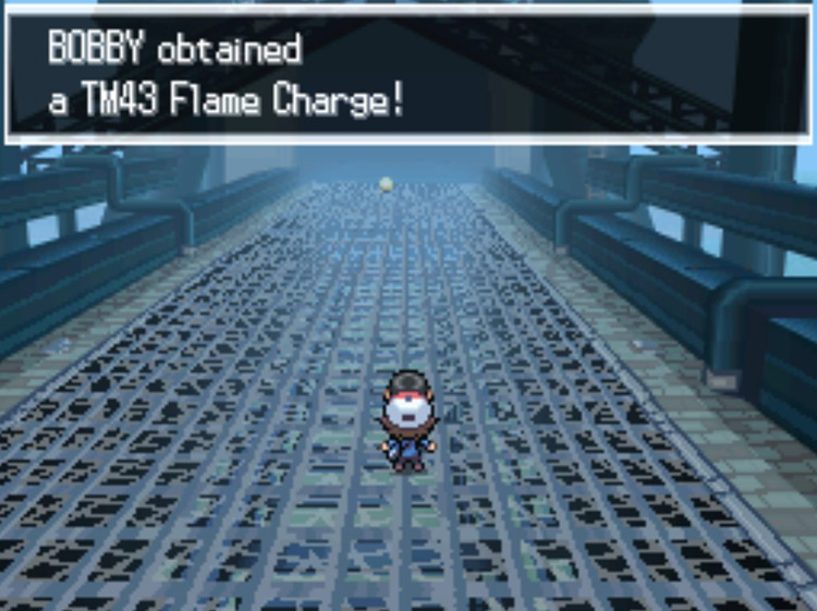 The NPC giving you TM43 Flame Charge. / Pokémon Black and White