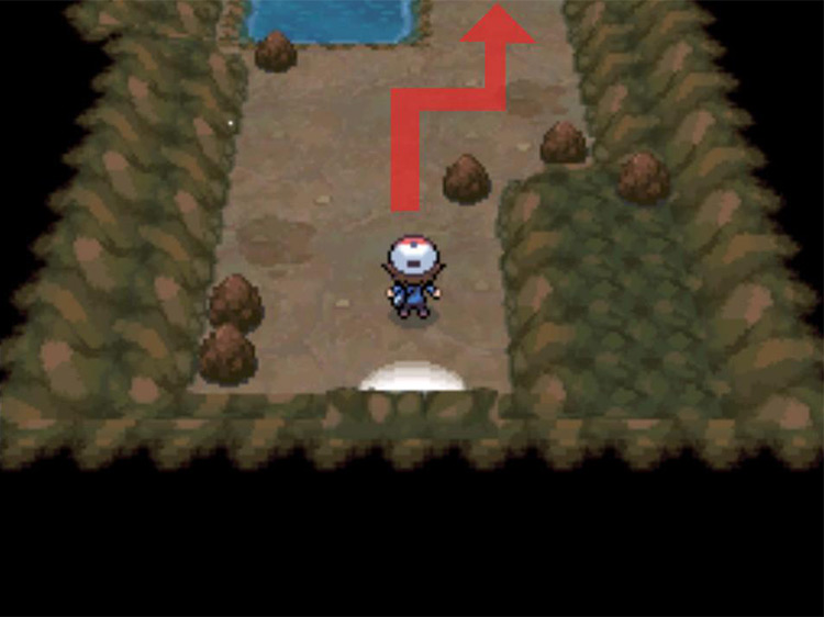 Head north alongside the body of water. / Pokémon Black and White