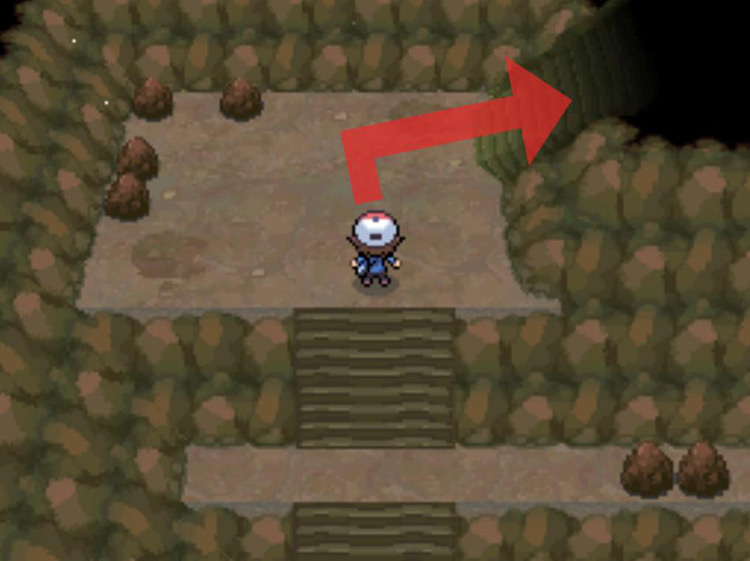 Climb the final set of stairs to the right. / Pokémon Black and White
