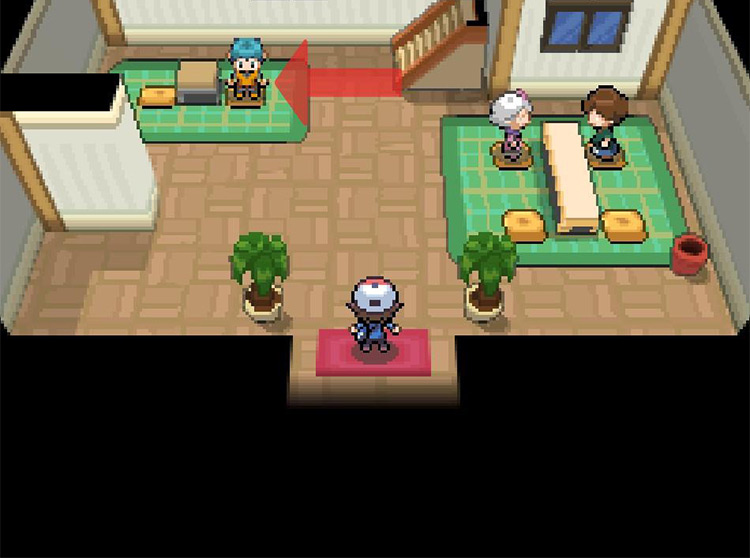 Speak to this blue-haired NPC to get Strength. / Pokémon Black and White