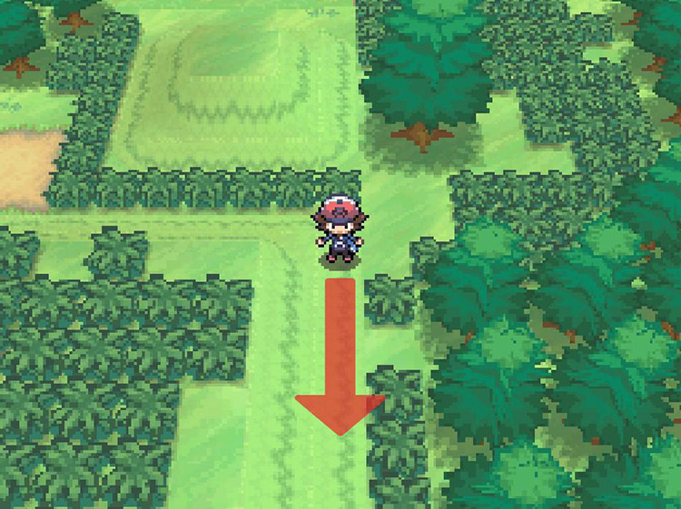 Continue south past the tall grass and knolls. / Pokémon Black and White