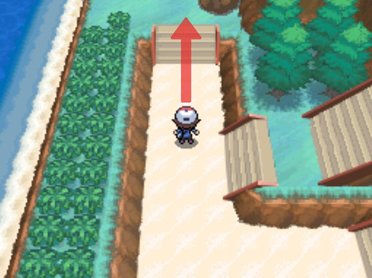 Head north up the stairs. / Pokémon Black and White