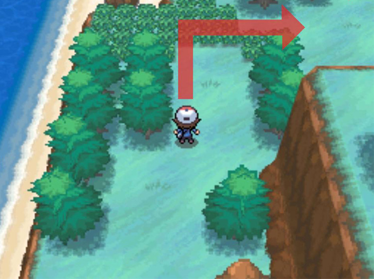 Head east once you’ve reached the tall grass. / Pokémon Black and White