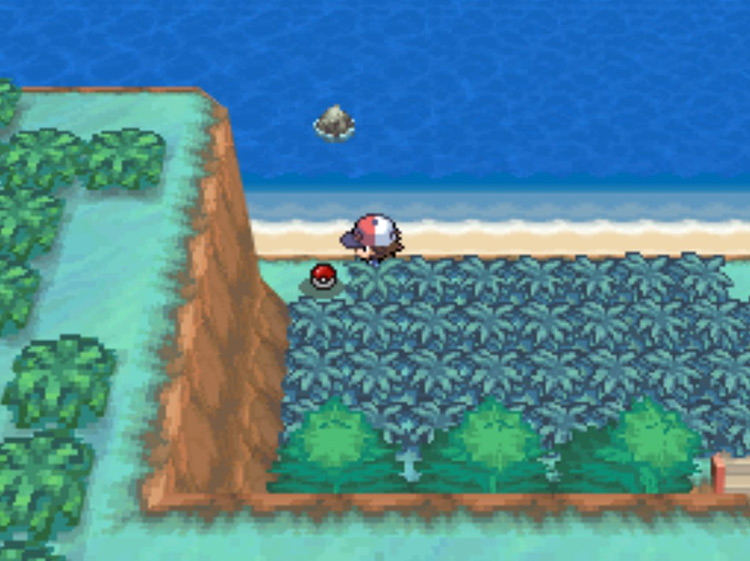 TM19’s location in the grass. / Pokémon Black and White
