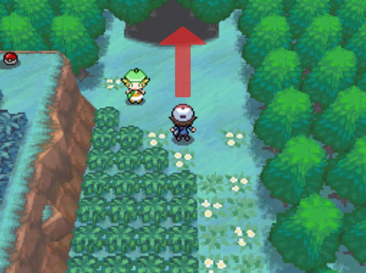 Continue north and enter the path leading to Dragonspiral Tower. / Pokémon Black and White