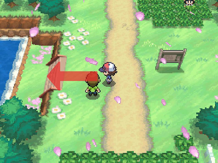 Head down the stairs towards the body of water. / Pokémon Black and White