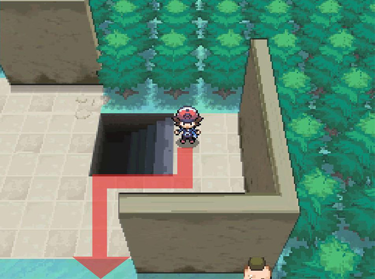 Head south from the top of the stairs. / Pokémon Black and White