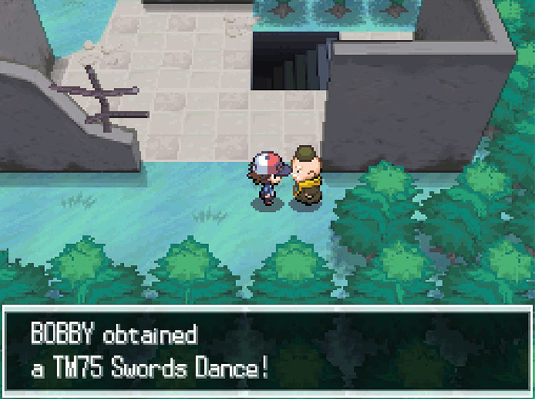 Getting TM75 Swords Dance from Sage Gorm. / Pokémon Black and White