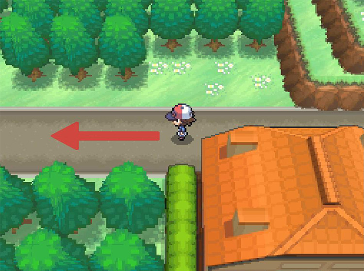 Continue west past the building with the orange roof. / Pokémon Black and White