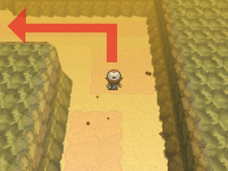 Turn left at the corner of the sandy path. / Pokémon Black and White