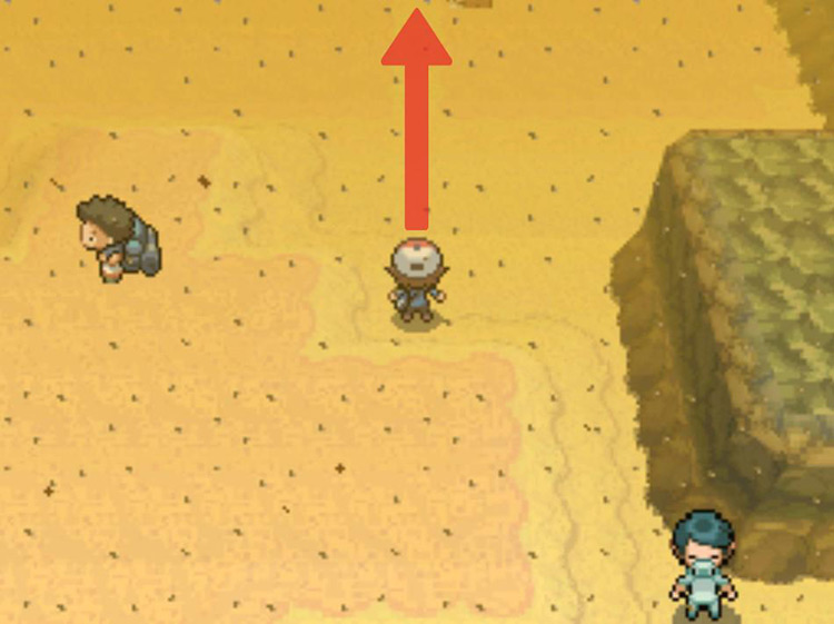 Continue north over the sand dunes. / Pokémon Black and White