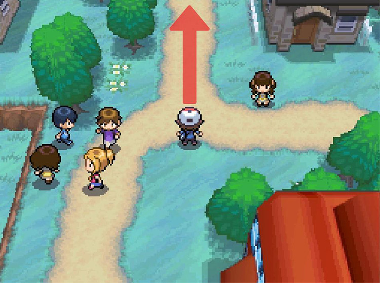 Continue north at the fork in the path. / Pokémon Black and White