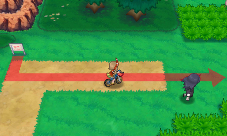 Route 121 signpost / Pokémon Omega Ruby and Alpha Sapphire