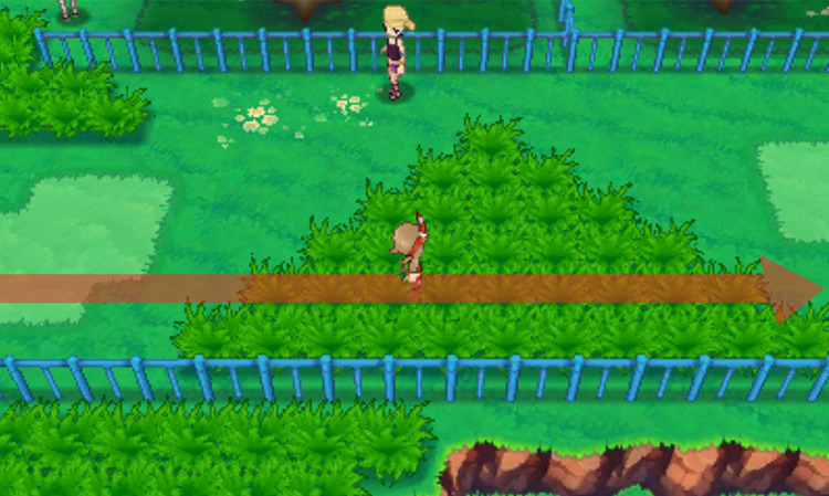 Walking along Route 121 / Pokémon Omega Ruby and Alpha Sapphire